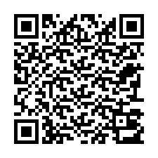 QR-code voor telefoonnummer +22793013085