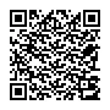 QR код за телефонен номер +22793013093