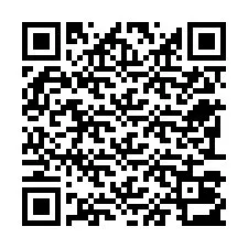 Kode QR untuk nomor Telepon +22793013096