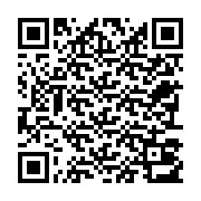 Código QR para número de teléfono +22793013099