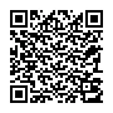 QR Code pour le numéro de téléphone +22793013101