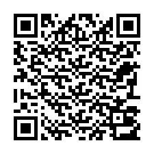 Codice QR per il numero di telefono +22793013105