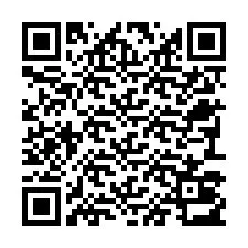 QR-code voor telefoonnummer +22793013108