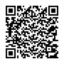 Codice QR per il numero di telefono +22793013109