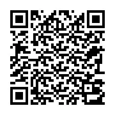 Código QR para número de teléfono +22793013111