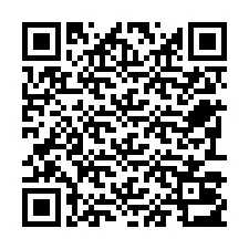 QR-code voor telefoonnummer +22793013113