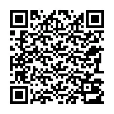 QR-code voor telefoonnummer +22793013114