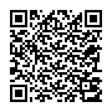 QR Code pour le numéro de téléphone +22793013119