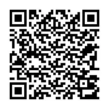 Código QR para número de teléfono +22793013121