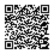 QR Code for Phone number +22793013128