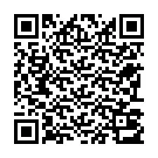 QR-code voor telefoonnummer +22793013132