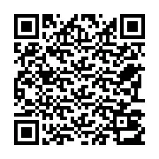 Kode QR untuk nomor Telepon +22793013133