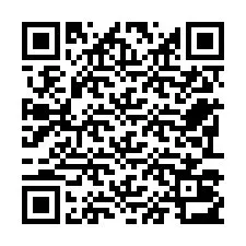 Kode QR untuk nomor Telepon +22793013137