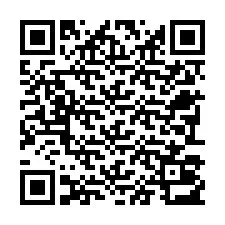 Código QR para número de teléfono +22793013138