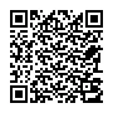 Código QR para número de telefone +22793013147