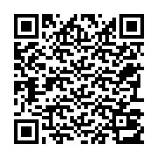 QR Code pour le numéro de téléphone +22793013149