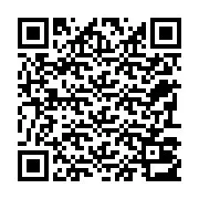 Código QR para número de telefone +22793013151