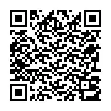 Código QR para número de teléfono +22793013156