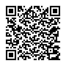 QR-code voor telefoonnummer +22793013169