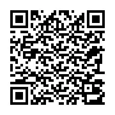 QR код за телефонен номер +22793013181