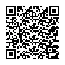 QR-код для номера телефона +22793013182