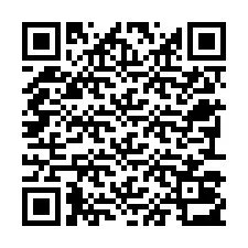 QR-Code für Telefonnummer +22793013188