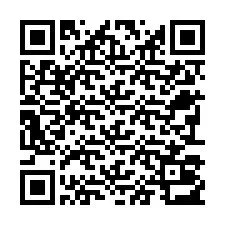 Codice QR per il numero di telefono +22793013190