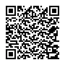 Código QR para número de telefone +22793013193