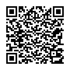 QR код за телефонен номер +22793013195