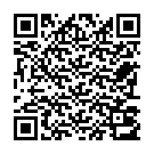 Kode QR untuk nomor Telepon +22793013197