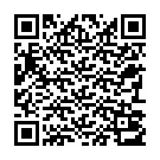 Código QR para número de teléfono +22793013200