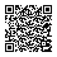 QR Code for Phone number +22793013202