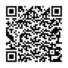 QR-Code für Telefonnummer +22793013206