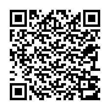 QR-код для номера телефона +22793013209