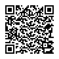 QR Code pour le numéro de téléphone +22793013212