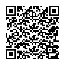 Kode QR untuk nomor Telepon +22793013216