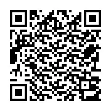 QR-code voor telefoonnummer +22793013217