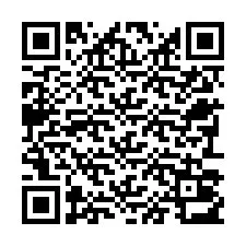 QR-код для номера телефона +22793013218