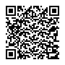 Codice QR per il numero di telefono +22793013220