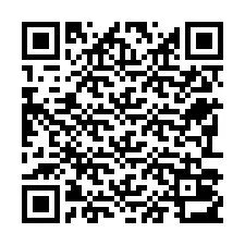 QR-Code für Telefonnummer +22793013222