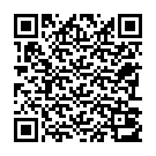 Kode QR untuk nomor Telepon +22793013229