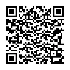 电话号码二维码 +22793013231