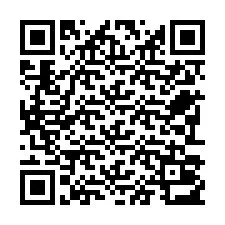 Código QR para número de telefone +22793013233