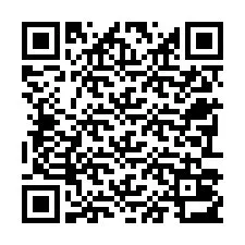 QR-код для номера телефона +22793013238