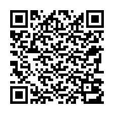 QR-код для номера телефона +22793013240