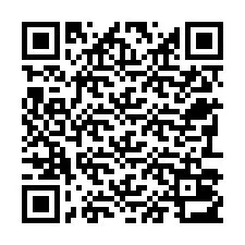 Codice QR per il numero di telefono +22793013244