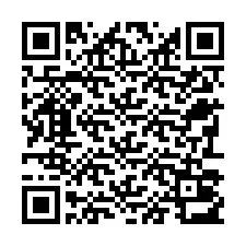 QR-код для номера телефона +22793013250