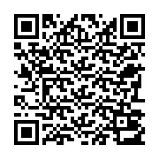 QR Code pour le numéro de téléphone +22793013254