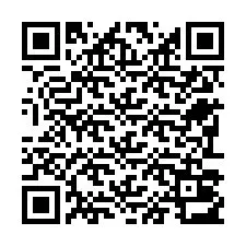 Codice QR per il numero di telefono +22793013262