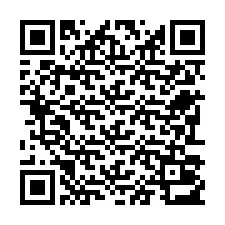 Código QR para número de telefone +22793013276